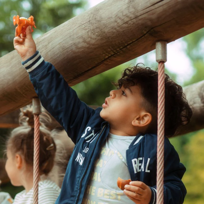 Tonies Julia Donaldson Zog - Image 3